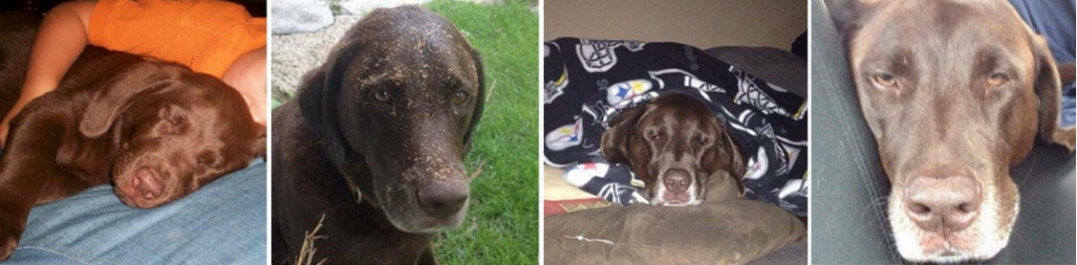 Gussie young to old. gussie-4-horiz